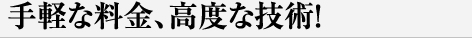 手軽な料金、高度な技術！